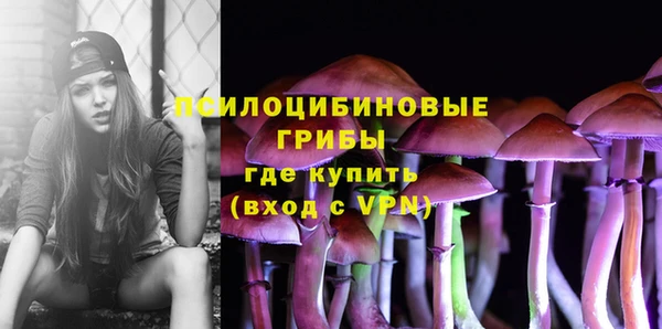 гидропоника Алзамай