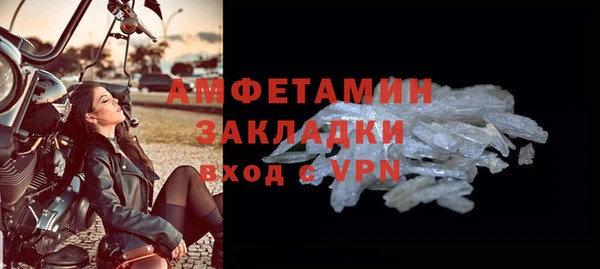 прущие грибы Абаза