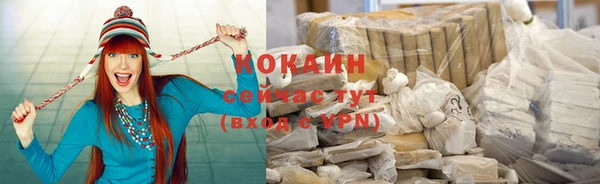прущие грибы Абаза
