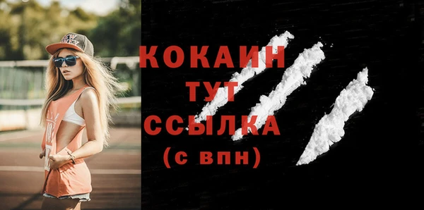прущие грибы Абаза
