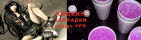прущие грибы Абаза
