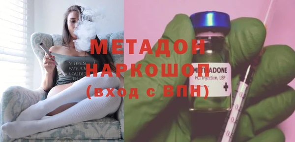 прущие грибы Абаза