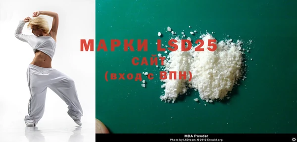 прущие грибы Абаза