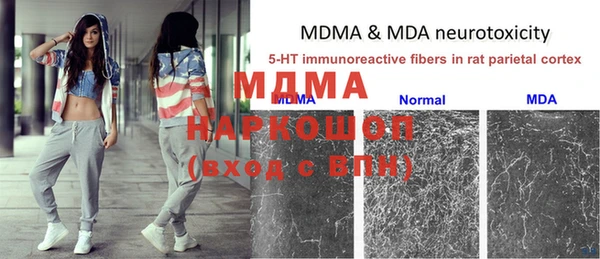 гидропоника Алзамай